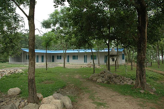 School School
